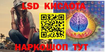 прущие грибы Будённовск