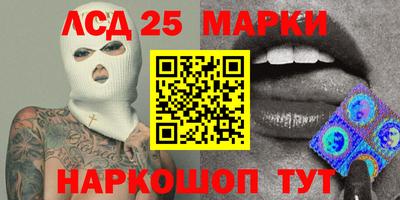 прущие грибы Будённовск