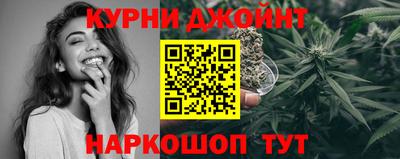 прущие грибы Будённовск