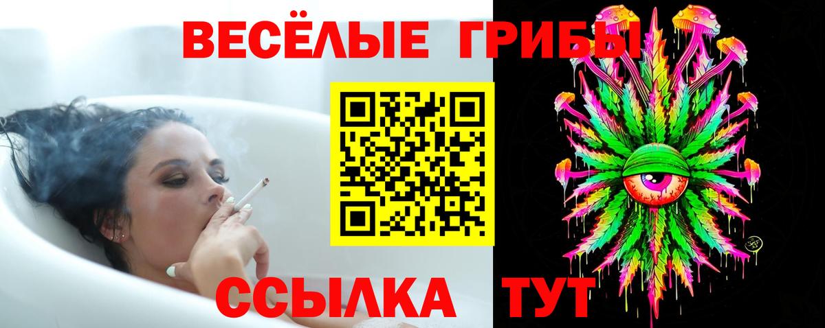 Кропоткин  Галлюциногенные грибы Magic Shrooms  Вход с VPN 