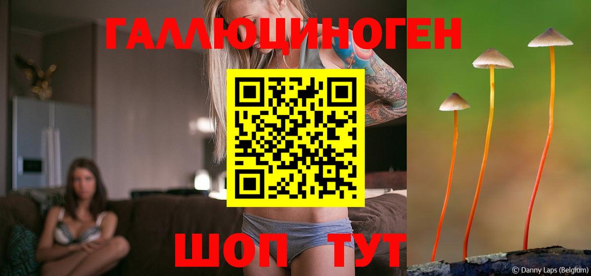 Галлюциногенные грибы мицелий Кропоткин